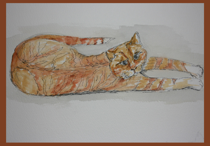 Animals - Marmaduke