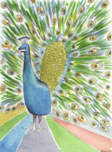 Summer Card